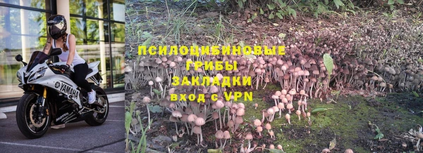 ALPHA PVP Аркадак