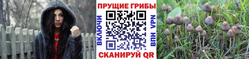 что такое наркотик  Багратионовск  Псилоцибиновые грибы мухоморы 